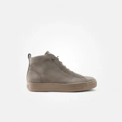 Hightop-Pauls