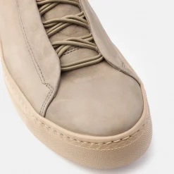 Hightop-Pauls